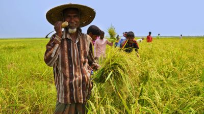 জাতীয় কৃষি দিবস ২০২৫: টেকসই কৃষির পথে নতুন দিগন্ত