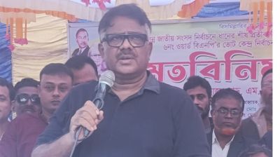 ধানের শীষের বিজয় নিশ্চিত জেনে একটি দল ষড়যন্ত্র করছে: দুলু