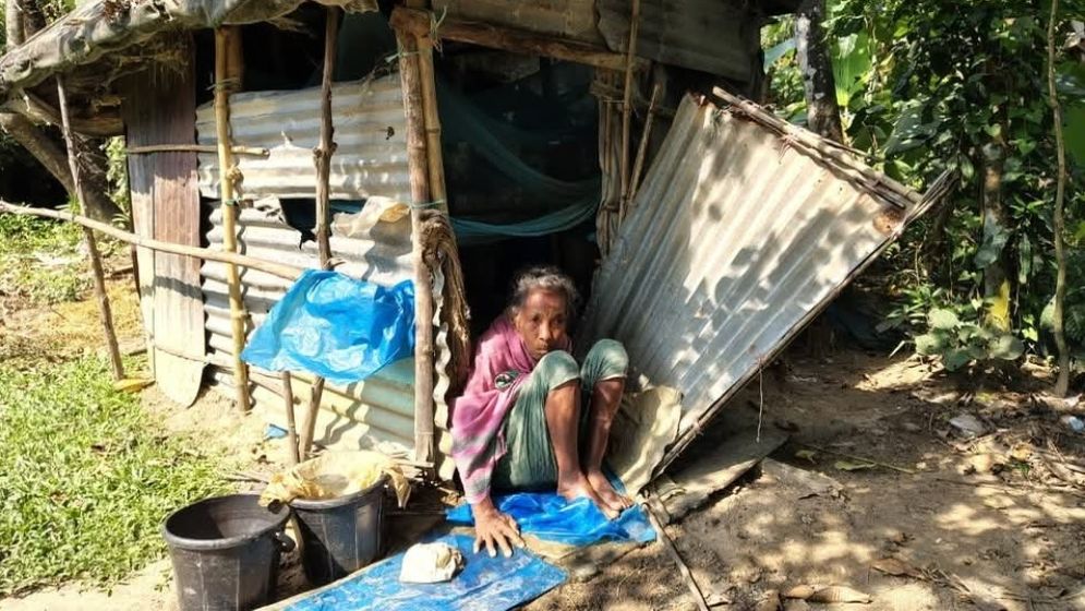 তারেক রহমানের জন্মদিন উপলক্ষে কায়সার কামালের মানবিক উদ্যোগ