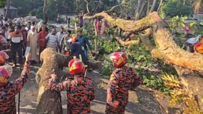 ঢাকা-বরিশাল মহাসড়কে গাছ ফেলে অবরোধ