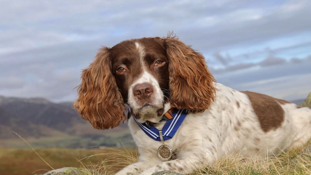 ম্যাক্সের জন্য মনিবের অফুরান ভালোবাসা