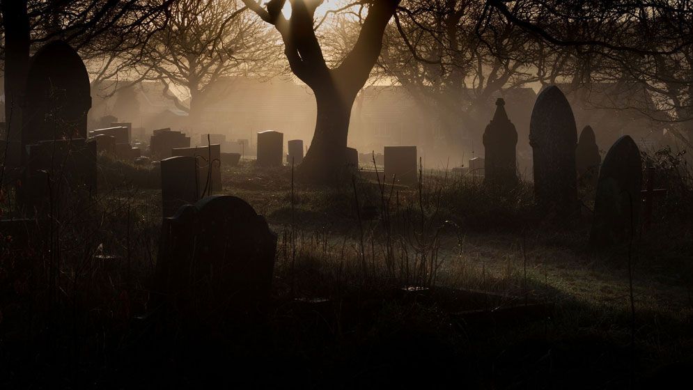 অন্ধকার কবরেও যারা নিরাপদে থাকবেন