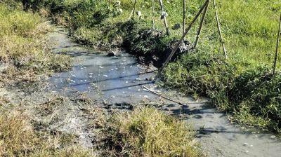 কৃষিজমিতে মর্টারশেল