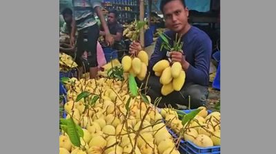 অনলাইন প্রতারণায় নিঃস্ব শত শত ক্রেতা