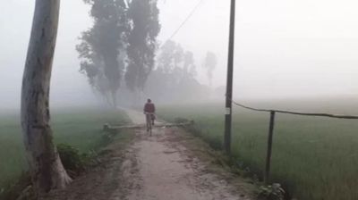 এ শতাব্দীতেই বিলুপ্ত হতে পারে শীত, ১৮% এলাকা ডুবে যাওয়ার আশঙ্কা