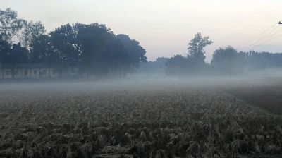 পঞ্চগড়ে বেড়েছে শীতের দাপট