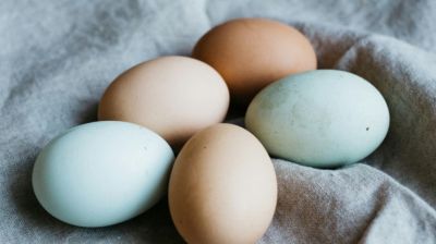 জেনে নিন হৃদরোগ হলে হাঁসের ডিম খাওয়া যাবে কিনা
