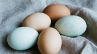 জেনে নিন হৃদরোগ হলে হাঁসের ডিম খাওয়া যাবে কিনা