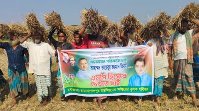 মাথায় ধান নিয়ে বিএনপির প্রার্থী পরিবর্তনের রিভিউ কৃষকদের