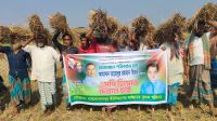 মাথায় ধান নিয়ে বিএনপির প্রার্থী পরিবর্তনের রিভিউ কৃষকদের