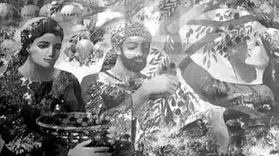 জলপাই গাছে ফিলিস্তিনি সত্তার শিকড়