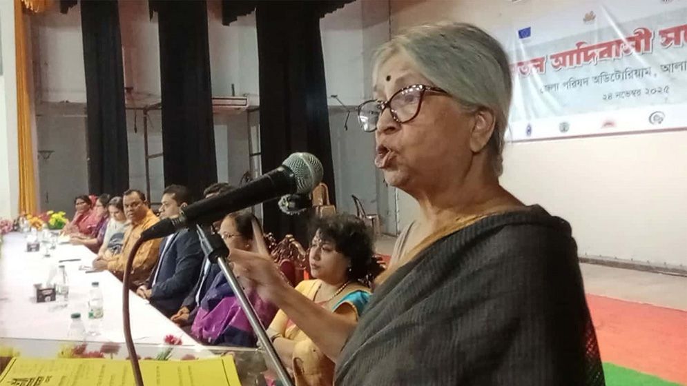 দেশের মালিক সরকার নয়, জনগণ: সুলতানা কামাল