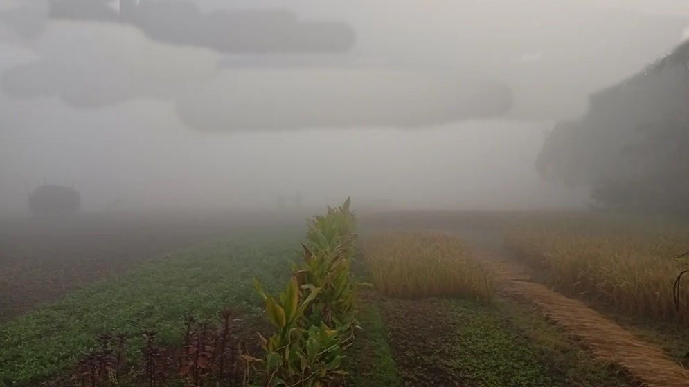 উত্তরাঞ্চলে জেঁকে বসেছে শীত, তাপমাত্রা নামল ১২ ডিগ্রিতে