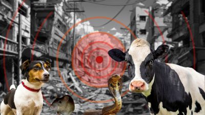 প্রাণীরা কি ভূমিকম্পের আগাম বার্তা দিতে সক্ষম? যা বলছে গবেষণা