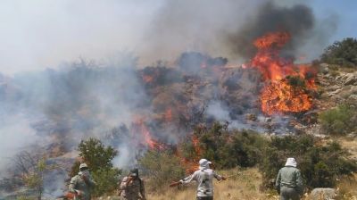 ৭ দিন ধরে দাবানলে পুড়ছে ইরান