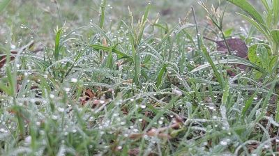 শীতের তীব্রতা বেড়েই চলছে, সর্বনিম্ন তাপমাত্রা তেঁতুলিয়ায়