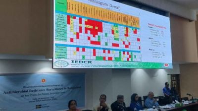 দেশে যেসব অ্যান্টিবায়োটিক সবচেয়ে বেশি ব্যবহার হয়