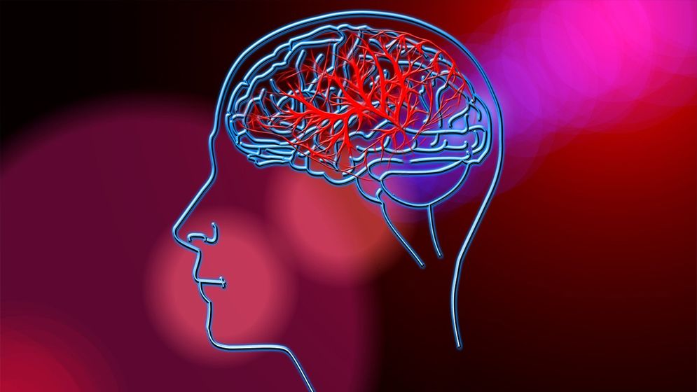 এক জীবনে ৫ ধাপে বয়স বাড়ে মস্তিষ্কের