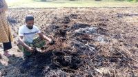 দুর্বৃত্তের আগুনে পুড়ল কৃষকের ধান