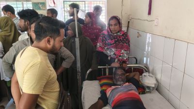 ধানখেতে কামড় খেয়ে জীবিত রাসেলস ভাইপার নিয়ে হাসপাতালে কৃষক