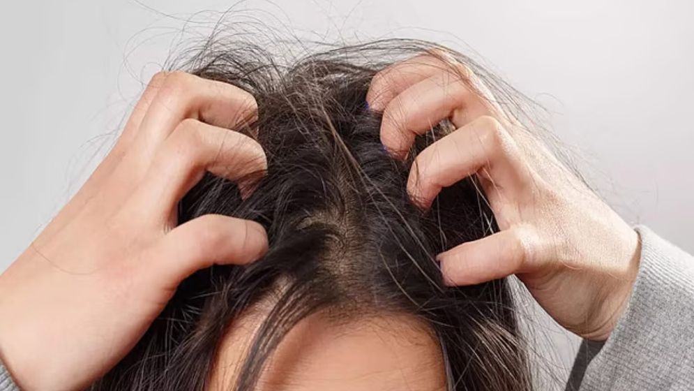 শীত এলেই মাথা চুলকায়, কেশচর্চার কৌশল শেখালেন অভিনেত্রী জেসমিন