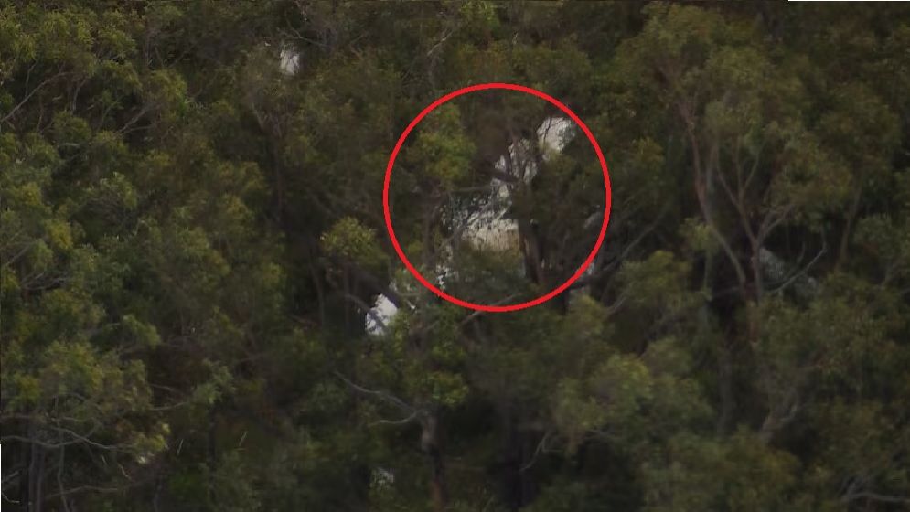 মাঝ আকাশে ২ বিমানের সংঘর্ষ, পাইলট নিহত