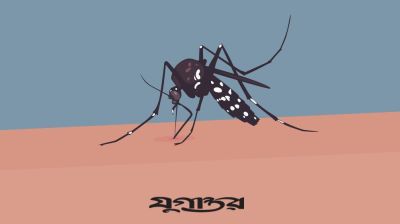 ডেঙ্গুতে আরও ৫ জনের মৃত্যু, হাসপাতালে ৬৩৬ নতুন রোগী