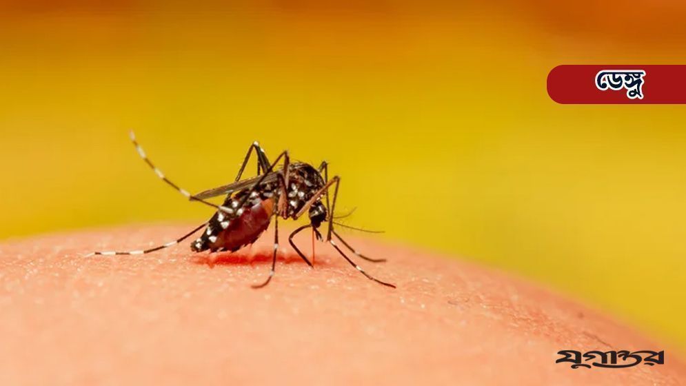 ডেঙ্গুতে আরও ২ জনের মৃত্যু