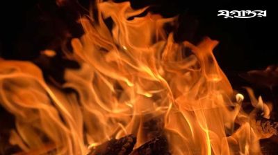 মোহাম্মদপুরে আবাসিক ভবনে আগুন