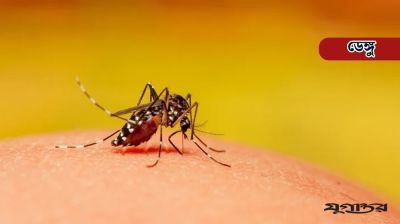 ডেঙ্গুতে আরও ২ জনের মৃত্যু