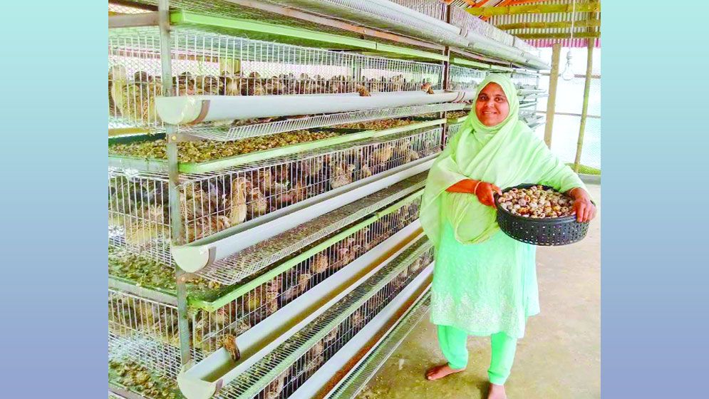 কোয়েল পাখির খামারে ভাগ্য বদলেছে জরিনার
