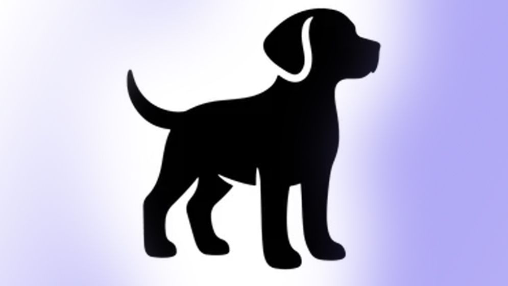 কুকুর বা প্রাণী হত্যায় ইসলাম কী বলে?