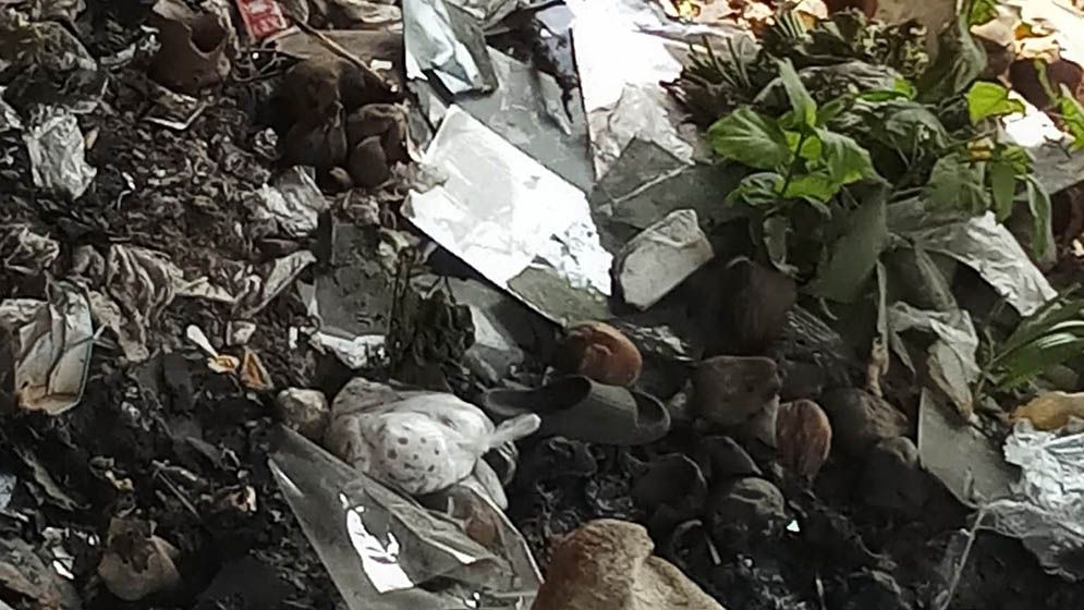 দুর্গন্ধে ব্রিজের নিচে মিলল অজ্ঞাত লাশ