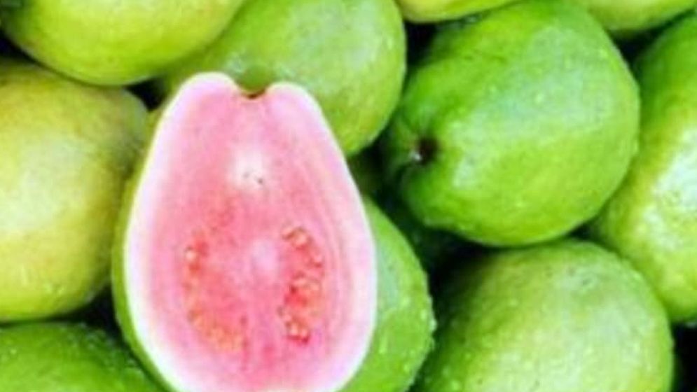 লাল ও সবুজ পেয়ারার মধ্যে কোনটি সেরা