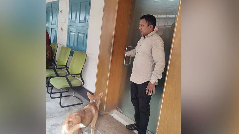 সেই কুকুরের আর্তনাদ