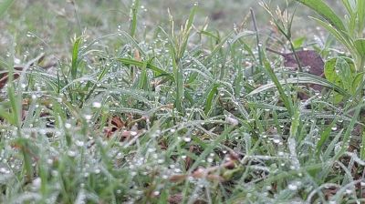 দেশের সর্বনিম্ন তাপমাত্রা তেঁতুলিয়ায়, চলতি মাসেই শৈত্যপ্রবাহ