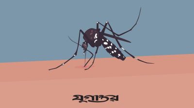 ডেঙ্গুতে একদিনে ৫ মৃত্যু, ভর্তি ৪৯০