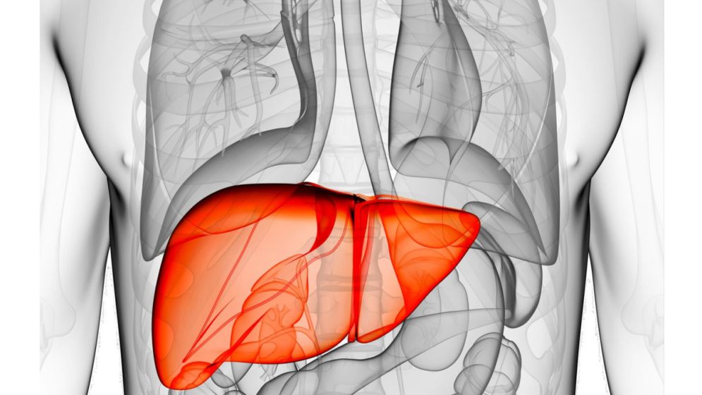 লিভার ড্যামেজের লক্ষণ এবং ভালো রাখার উপায় জানুন