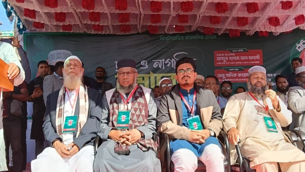 ভারতমুখী নয়, দেশমুখী রাজনীতি প্রয়োজন: ডাকসু ভিপি