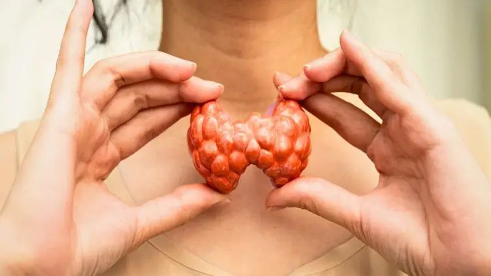 থাইরয়েড হরমোনের ভারসাম্য আপনার শরীরের গতি বদলে দিতে পারে