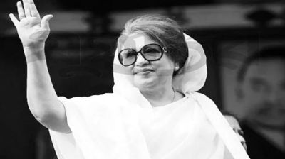 গণতন্ত্রের মানসকন্যার কথা