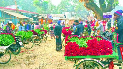 গদখালীর ফুলের সুবাস দেশ ছাড়িয়ে বিদেশে