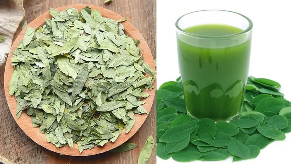 সোনা পাতা খেলে মিলবে যেসব উপকার