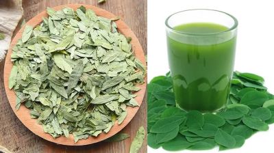 সোনা পাতা খেলে মিলবে যেসব উপকার