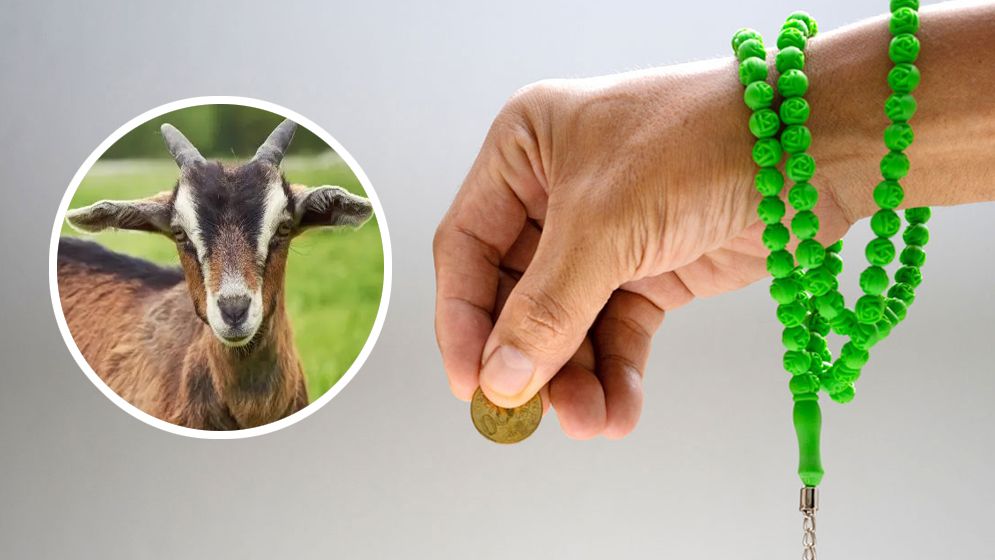 ‘জানের বদলে জান সদকা’ করা যাবে কি?