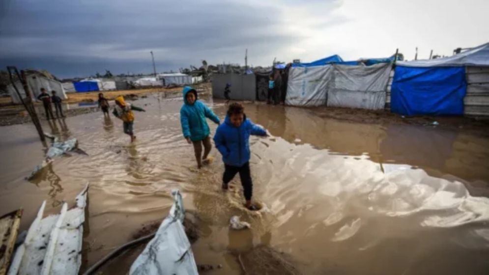 বন্যায় ডুবল অসংখ্য তাবু, বিপাকে গাজাবাসী