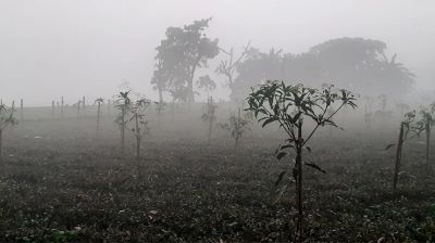 তেঁতুলিয়ায় বইছে মৃদু শৈত্যপ্রবাহ, তাপমাত্রা নামল ৯ ডিগ্রিতে