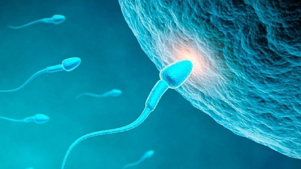 দাতার শুক্রাণুতে পাওয়া গেল ক্যান্সারের জিন, ঝুঁকিতে দুই শতাধিক শিশু