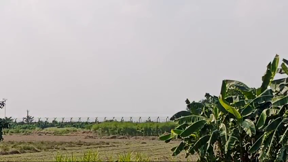 বিএসএফের গুলিতে যুবকের মৃত্যু, ১৪ ডিসেম্বর লাশ হস্তান্তর