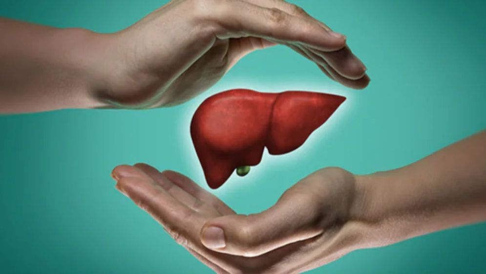 গ্রেড–২ ফ্যাটি লিভার কি ভালো হয়? যা বলছেন বিশেষজ্ঞরা